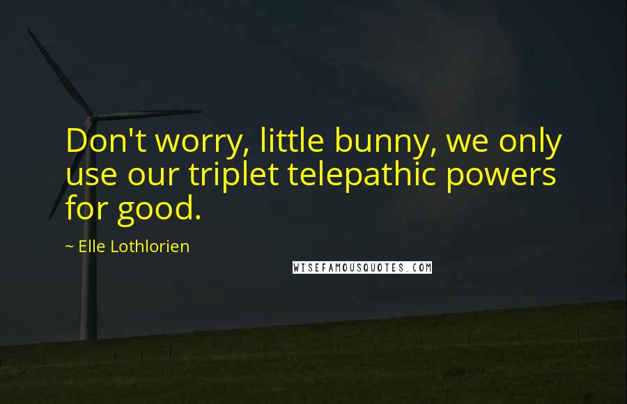 Elle Lothlorien Quotes: Don't worry, little bunny, we only use our triplet telepathic powers for good.