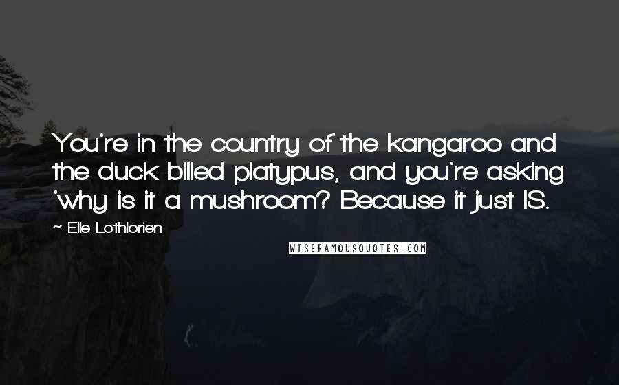 Elle Lothlorien Quotes: You're in the country of the kangaroo and the duck-billed platypus, and you're asking 'why is it a mushroom? Because it just IS.