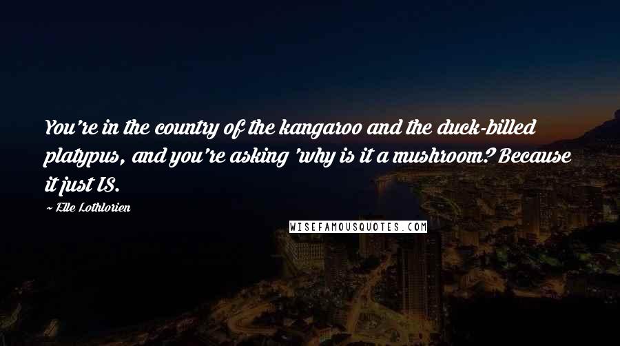 Elle Lothlorien Quotes: You're in the country of the kangaroo and the duck-billed platypus, and you're asking 'why is it a mushroom? Because it just IS.