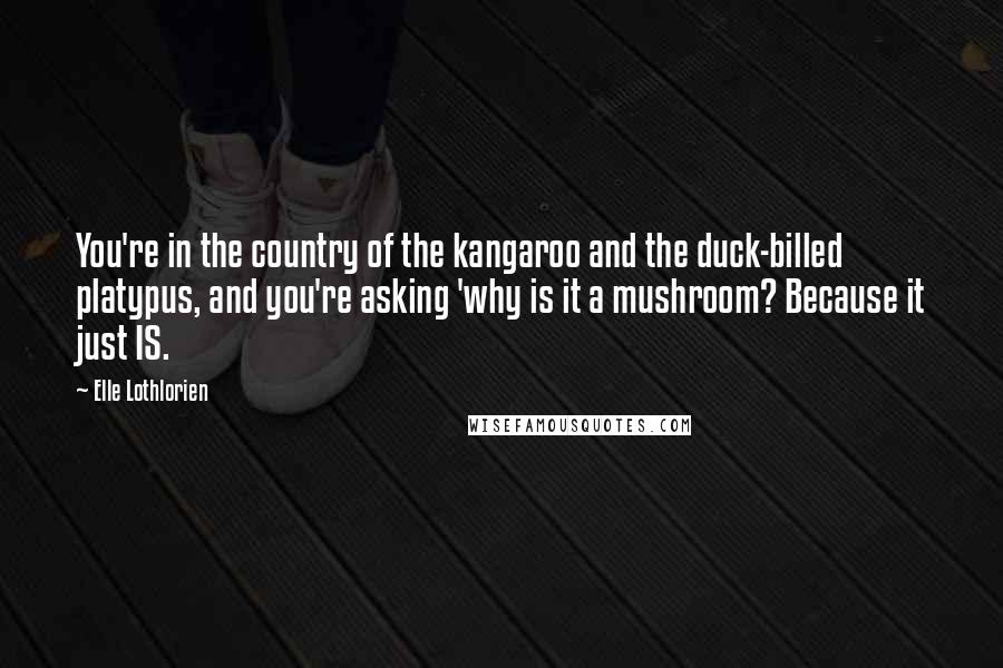 Elle Lothlorien Quotes: You're in the country of the kangaroo and the duck-billed platypus, and you're asking 'why is it a mushroom? Because it just IS.