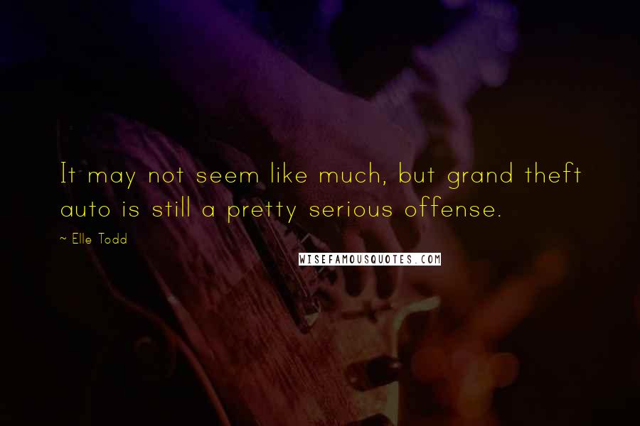 Elle Todd Quotes: It may not seem like much, but grand theft auto is still a pretty serious offense.