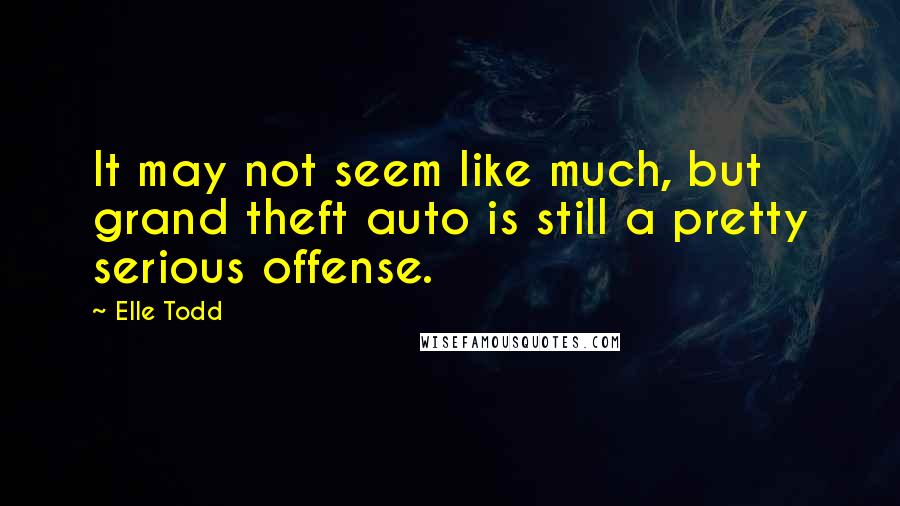 Elle Todd Quotes: It may not seem like much, but grand theft auto is still a pretty serious offense.