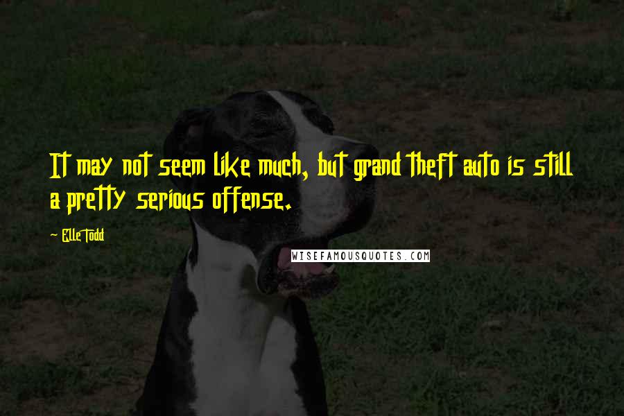 Elle Todd Quotes: It may not seem like much, but grand theft auto is still a pretty serious offense.