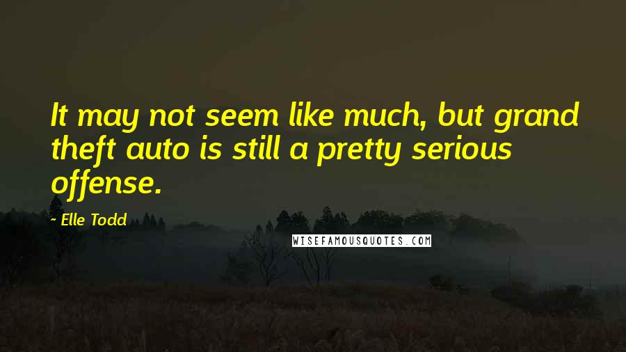 Elle Todd Quotes: It may not seem like much, but grand theft auto is still a pretty serious offense.