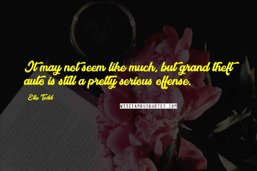 Elle Todd Quotes: It may not seem like much, but grand theft auto is still a pretty serious offense.