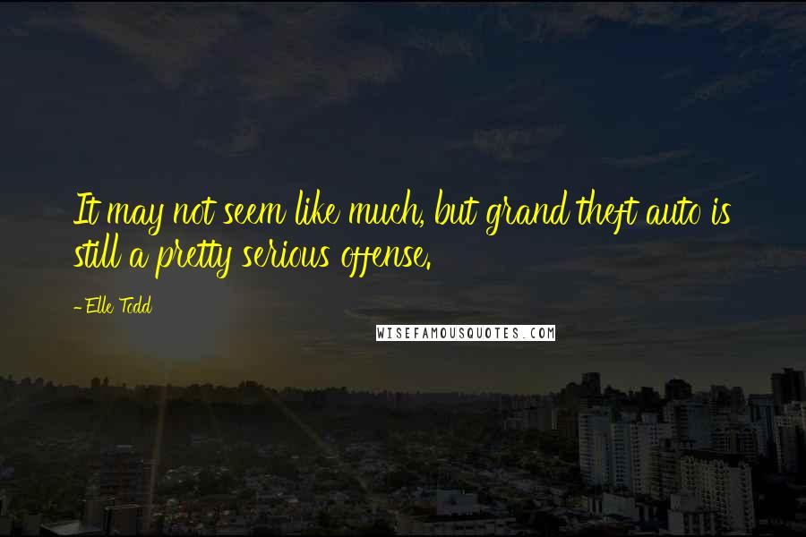 Elle Todd Quotes: It may not seem like much, but grand theft auto is still a pretty serious offense.