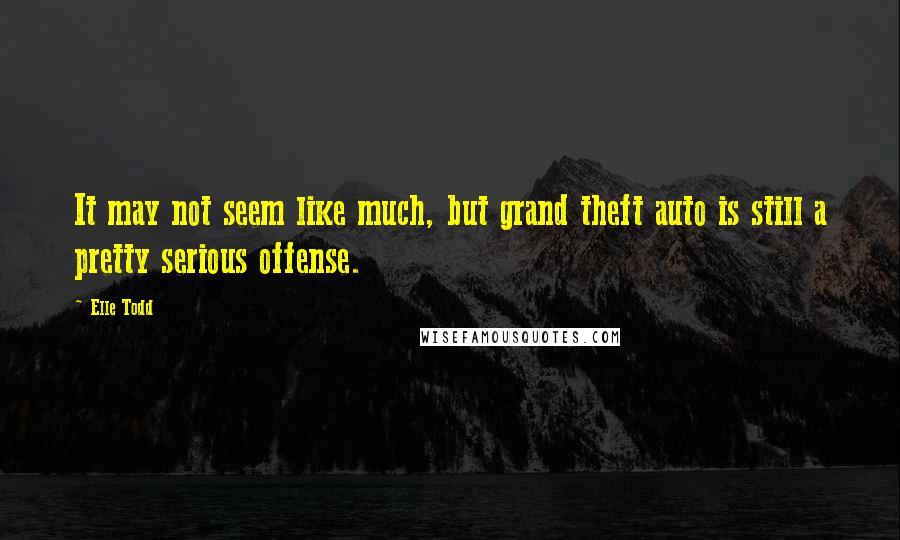 Elle Todd Quotes: It may not seem like much, but grand theft auto is still a pretty serious offense.