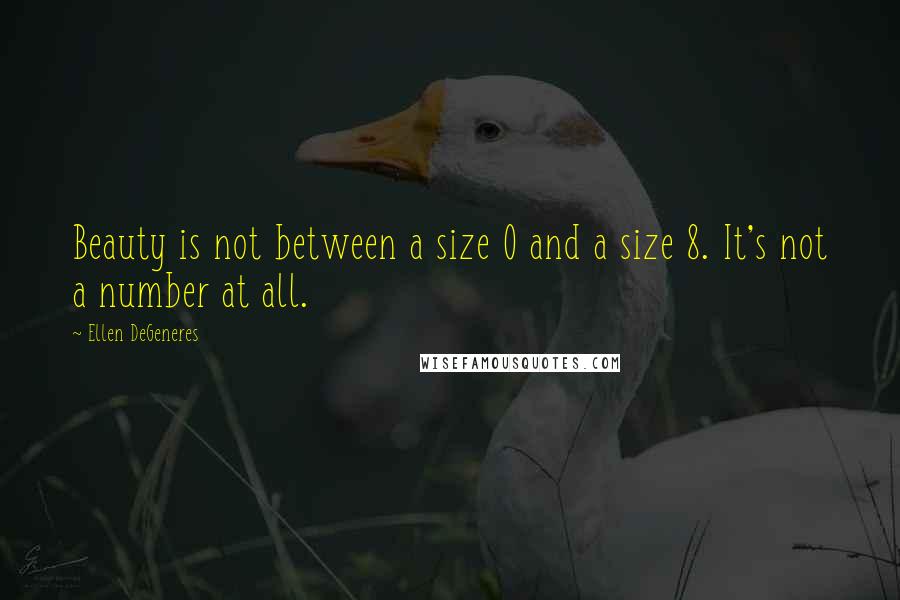 Ellen DeGeneres Quotes: Beauty is not between a size 0 and a size 8. It's not a number at all.