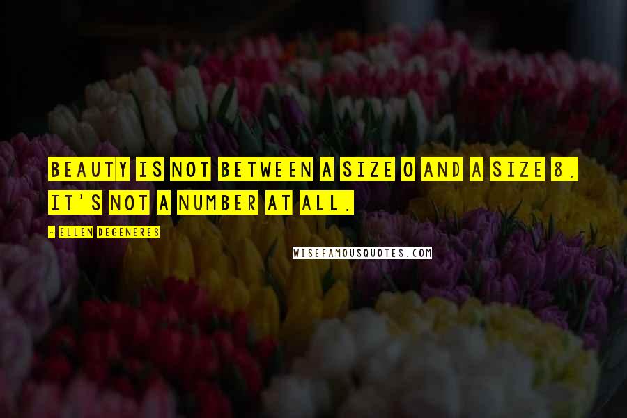 Ellen DeGeneres Quotes: Beauty is not between a size 0 and a size 8. It's not a number at all.