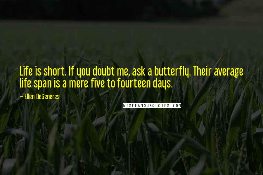 Ellen DeGeneres Quotes: Life is short. If you doubt me, ask a butterfly. Their average life span is a mere five to fourteen days.