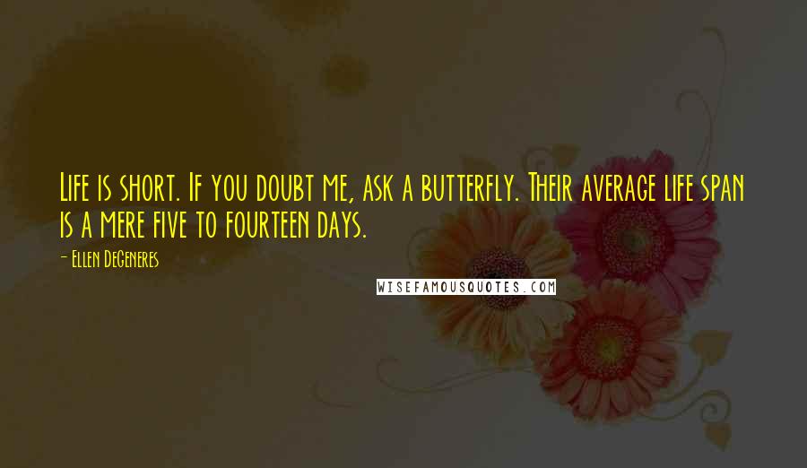 Ellen DeGeneres Quotes: Life is short. If you doubt me, ask a butterfly. Their average life span is a mere five to fourteen days.