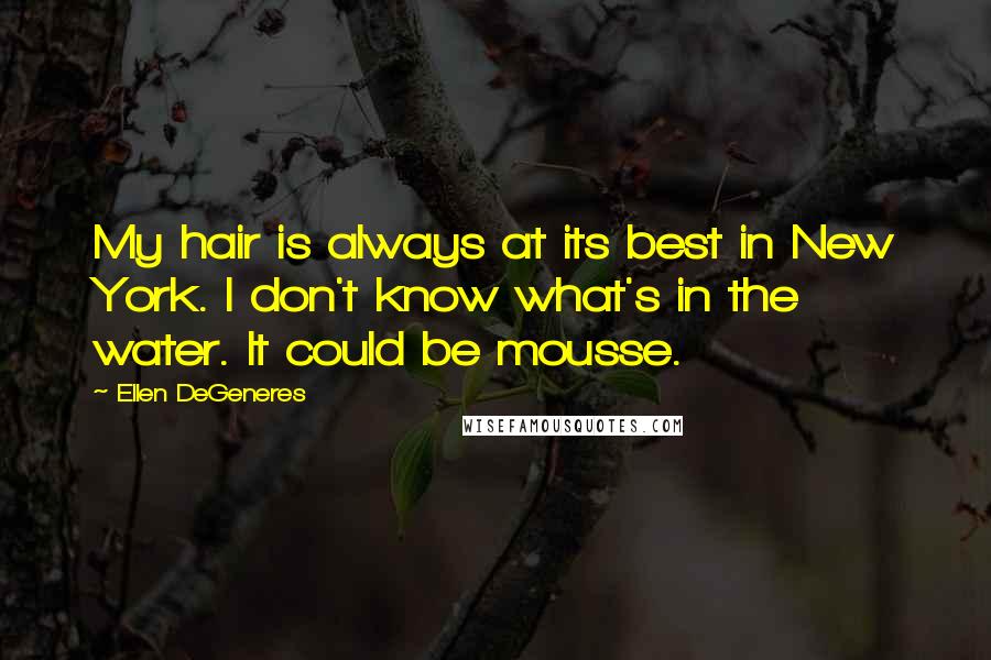 Ellen DeGeneres Quotes: My hair is always at its best in New York. I don't know what's in the water. It could be mousse.