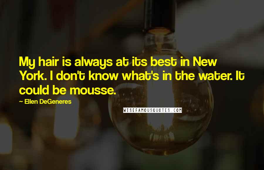 Ellen DeGeneres Quotes: My hair is always at its best in New York. I don't know what's in the water. It could be mousse.