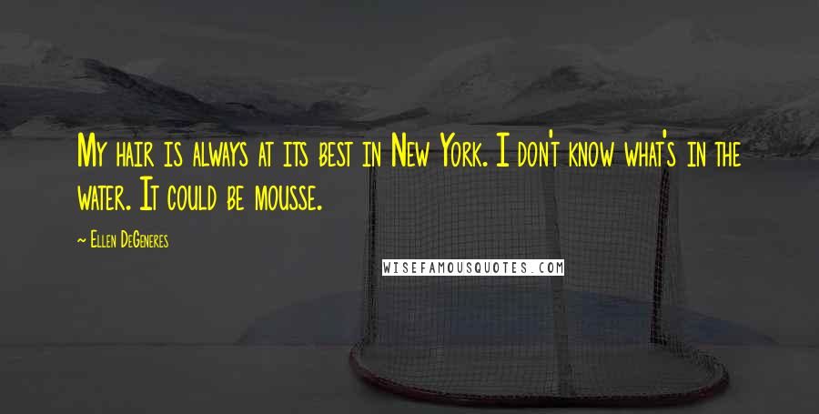 Ellen DeGeneres Quotes: My hair is always at its best in New York. I don't know what's in the water. It could be mousse.