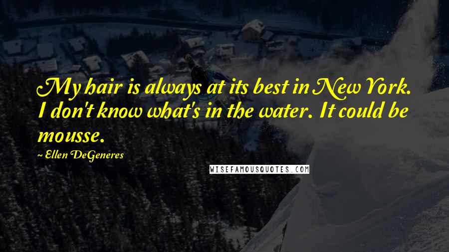 Ellen DeGeneres Quotes: My hair is always at its best in New York. I don't know what's in the water. It could be mousse.