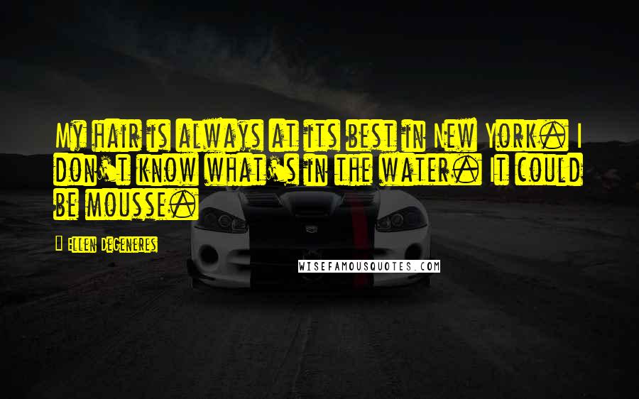 Ellen DeGeneres Quotes: My hair is always at its best in New York. I don't know what's in the water. It could be mousse.