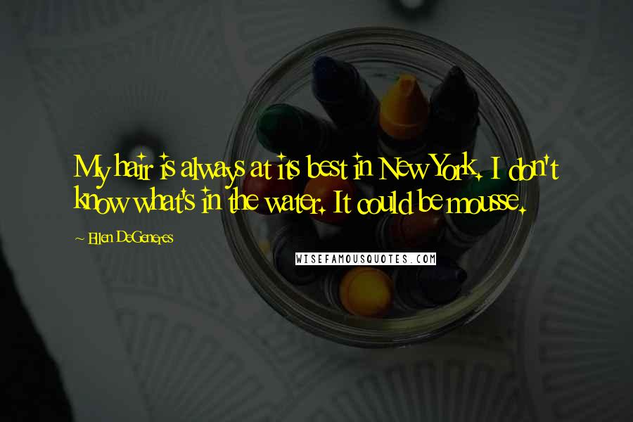 Ellen DeGeneres Quotes: My hair is always at its best in New York. I don't know what's in the water. It could be mousse.