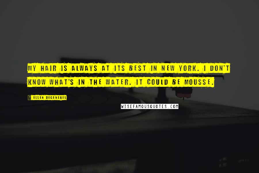 Ellen DeGeneres Quotes: My hair is always at its best in New York. I don't know what's in the water. It could be mousse.