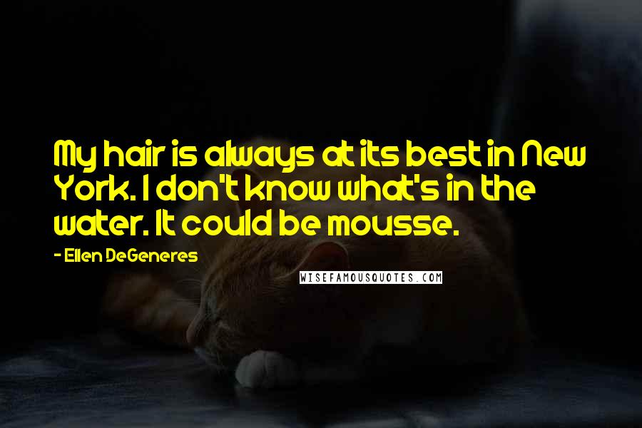 Ellen DeGeneres Quotes: My hair is always at its best in New York. I don't know what's in the water. It could be mousse.