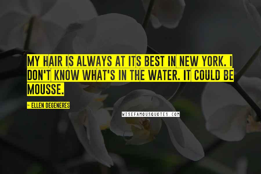 Ellen DeGeneres Quotes: My hair is always at its best in New York. I don't know what's in the water. It could be mousse.