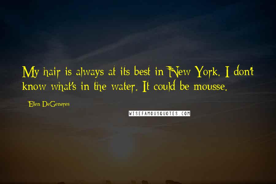 Ellen DeGeneres Quotes: My hair is always at its best in New York. I don't know what's in the water. It could be mousse.