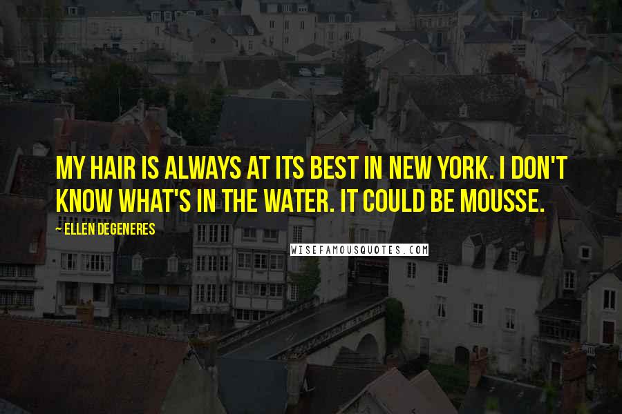 Ellen DeGeneres Quotes: My hair is always at its best in New York. I don't know what's in the water. It could be mousse.