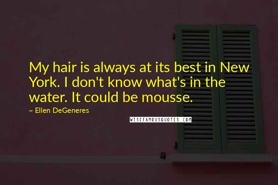 Ellen DeGeneres Quotes: My hair is always at its best in New York. I don't know what's in the water. It could be mousse.