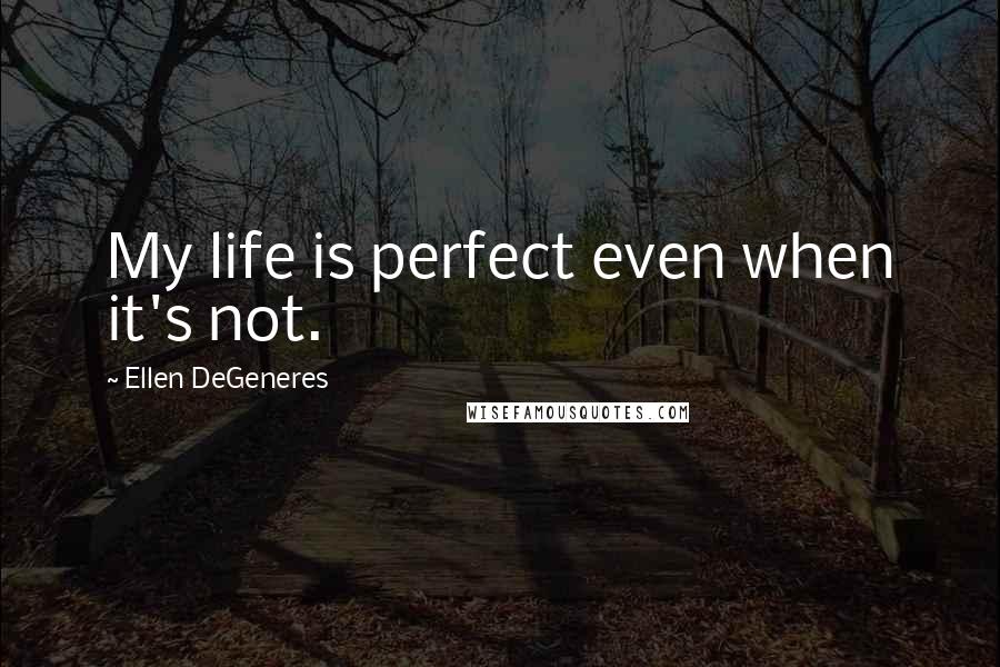 Ellen DeGeneres Quotes: My life is perfect even when it's not.