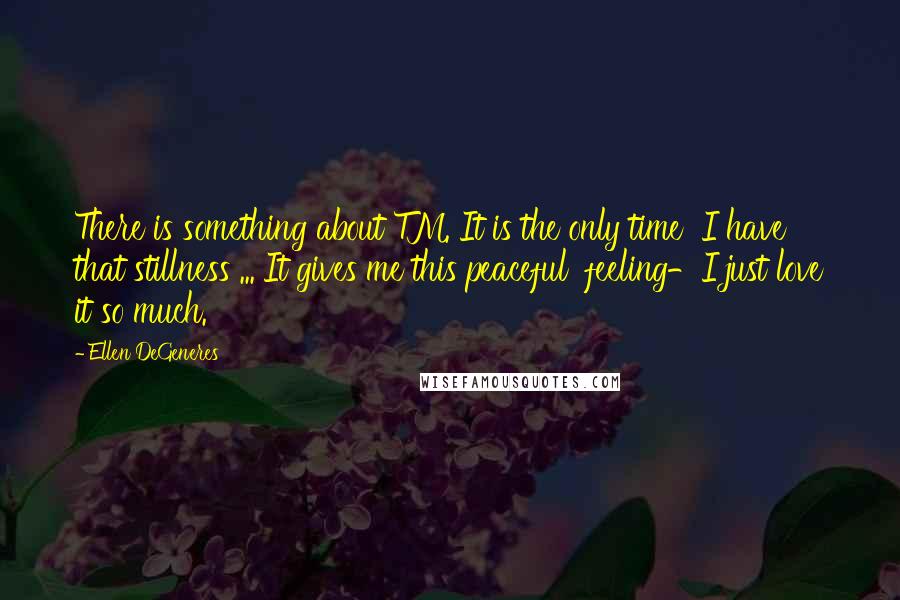 Ellen DeGeneres Quotes: There is something about TM. It is the only time  I have that stillness ... It gives me this peaceful  feeling-I just love it so much.
