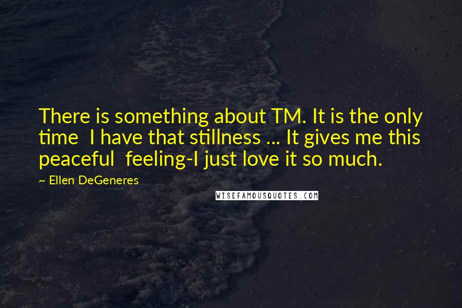 Ellen DeGeneres Quotes: There is something about TM. It is the only time  I have that stillness ... It gives me this peaceful  feeling-I just love it so much.