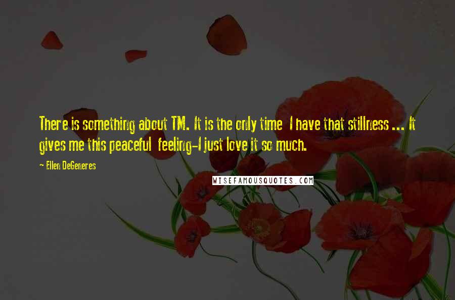 Ellen DeGeneres Quotes: There is something about TM. It is the only time  I have that stillness ... It gives me this peaceful  feeling-I just love it so much.