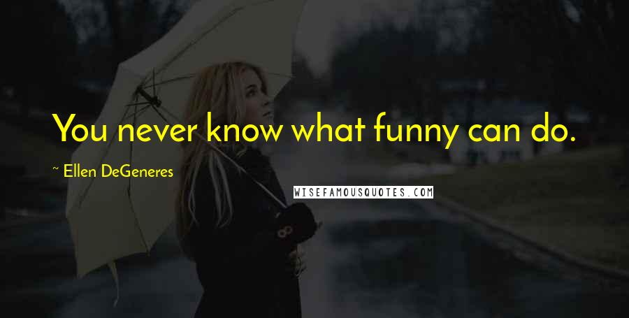 Ellen DeGeneres Quotes: You never know what funny can do.