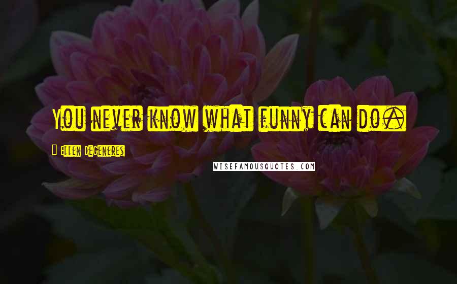 Ellen DeGeneres Quotes: You never know what funny can do.