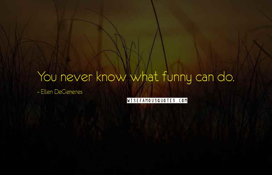 Ellen DeGeneres Quotes: You never know what funny can do.