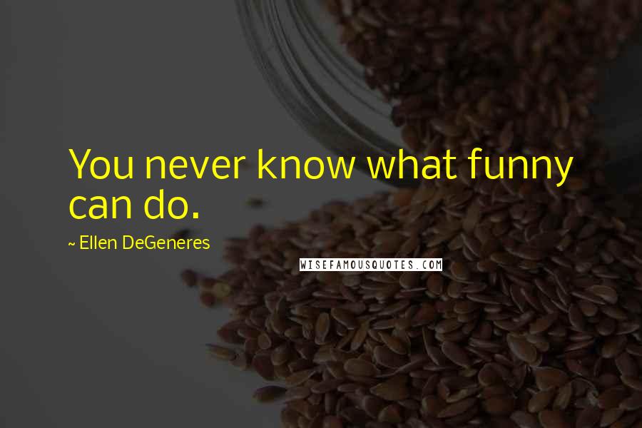 Ellen DeGeneres Quotes: You never know what funny can do.