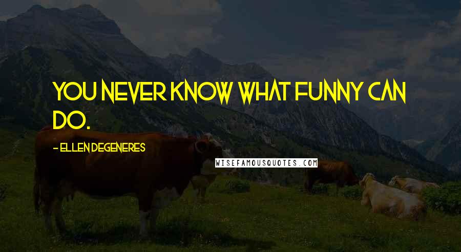 Ellen DeGeneres Quotes: You never know what funny can do.