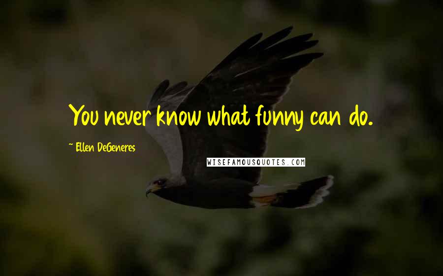 Ellen DeGeneres Quotes: You never know what funny can do.