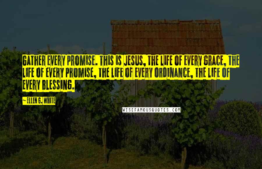 Ellen G. White Quotes: Gather every promise. This is Jesus, the life of every grace, the life of every promise, the life of every ordinance, the life of every blessing.