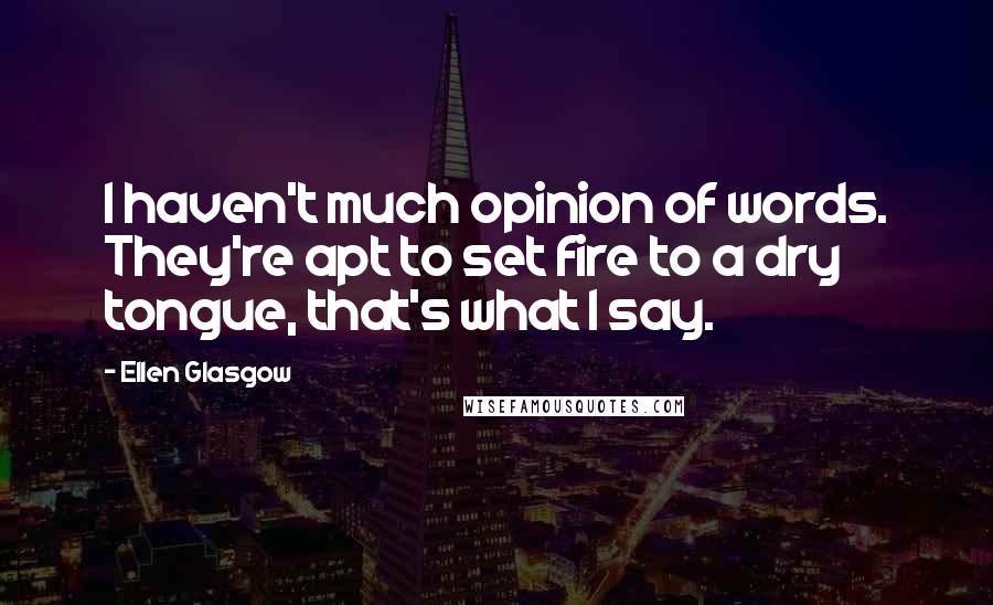 Ellen Glasgow Quotes: I haven't much opinion of words. They're apt to set fire to a dry tongue, that's what I say.
