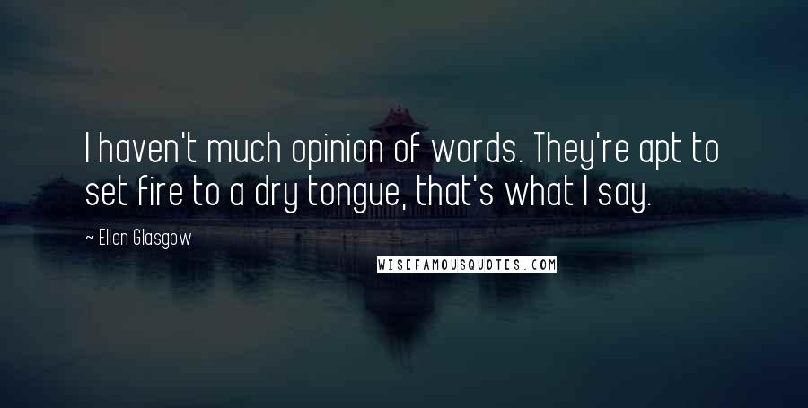 Ellen Glasgow Quotes: I haven't much opinion of words. They're apt to set fire to a dry tongue, that's what I say.