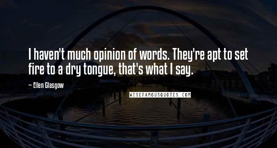 Ellen Glasgow Quotes: I haven't much opinion of words. They're apt to set fire to a dry tongue, that's what I say.