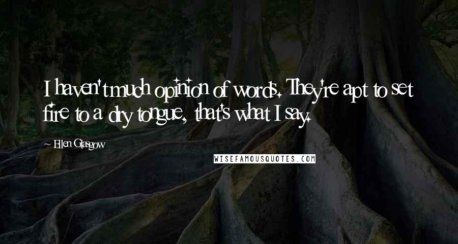 Ellen Glasgow Quotes: I haven't much opinion of words. They're apt to set fire to a dry tongue, that's what I say.