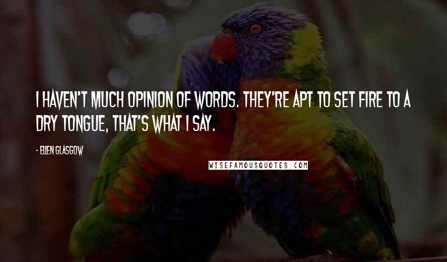 Ellen Glasgow Quotes: I haven't much opinion of words. They're apt to set fire to a dry tongue, that's what I say.