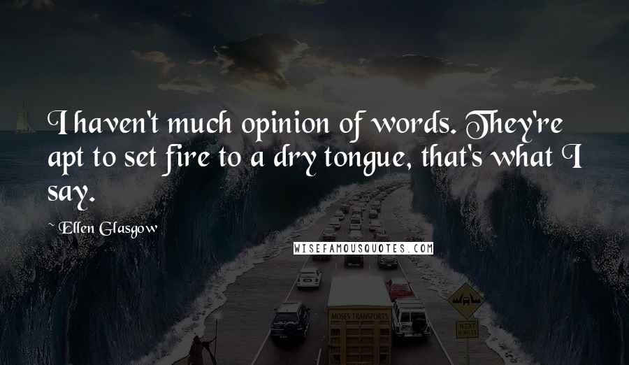 Ellen Glasgow Quotes: I haven't much opinion of words. They're apt to set fire to a dry tongue, that's what I say.