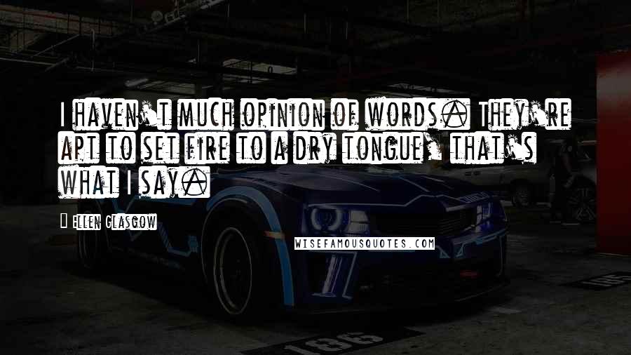 Ellen Glasgow Quotes: I haven't much opinion of words. They're apt to set fire to a dry tongue, that's what I say.