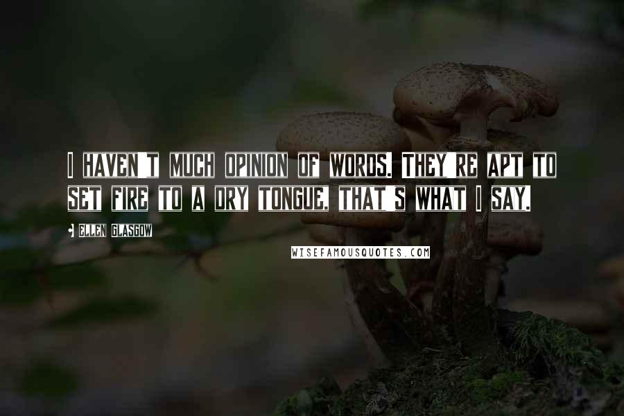 Ellen Glasgow Quotes: I haven't much opinion of words. They're apt to set fire to a dry tongue, that's what I say.