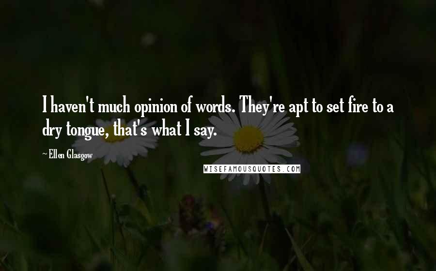 Ellen Glasgow Quotes: I haven't much opinion of words. They're apt to set fire to a dry tongue, that's what I say.