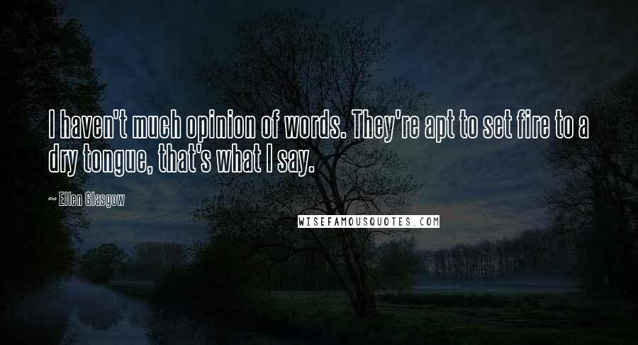 Ellen Glasgow Quotes: I haven't much opinion of words. They're apt to set fire to a dry tongue, that's what I say.