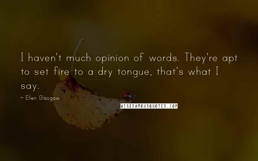 Ellen Glasgow Quotes: I haven't much opinion of words. They're apt to set fire to a dry tongue, that's what I say.