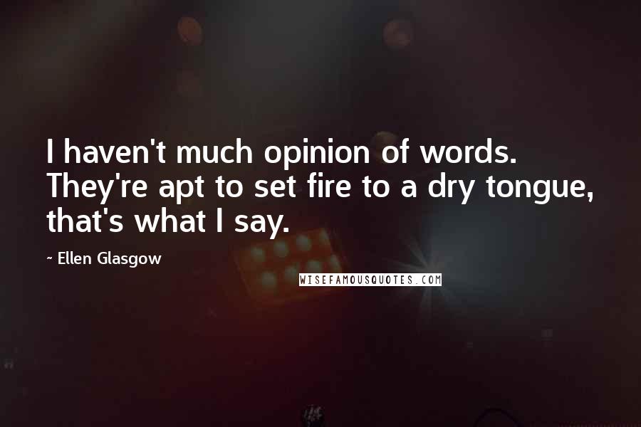 Ellen Glasgow Quotes: I haven't much opinion of words. They're apt to set fire to a dry tongue, that's what I say.